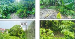 Foreclosed Residential Lot in Quezon City, Palawan · Lot 4-E-8 (PDIC)
