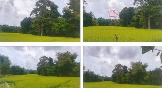 Foreclosed Agricultural Lot in Roxas, Palawan · Lot No. 572 (PDIC)