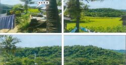 Foreclosed Agricultural Lot in Roxas, Palawan · Lot No. 169 (PDIC)