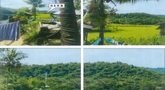 Foreclosed Agricultural Lot in Roxas, Palawan · Lot No. 169 (PDIC)
