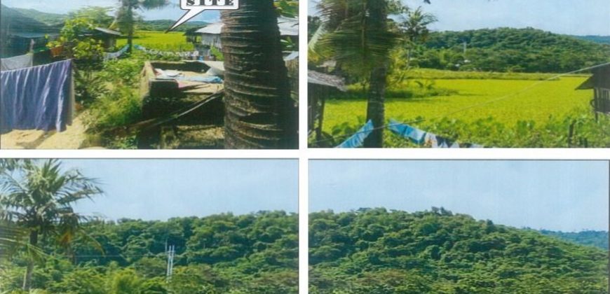 Foreclosed Agricultural Lot in Roxas, Palawan · Lot No. 169 (PDIC)