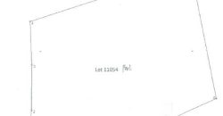Foreclosed Agricultural Lot in San Fernando City, Cebu · Lot No. 11054 (PDIC)