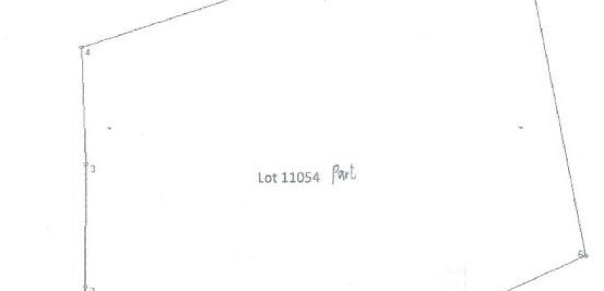 Foreclosed Agricultural Lot in San Fernando City, Cebu · Lot No. 11054 (PDIC)