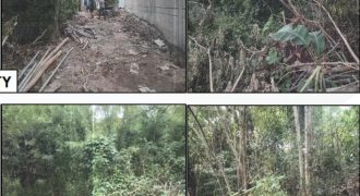 Foreclosed Residential Lot in City Of Cauayan City, Isabela · Lot 3-B-2-G (PDIC)