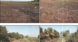 Foreclosed Agricultural Lot in City Of Cauayan City, Isabela · Lot D-1 (PDIC)