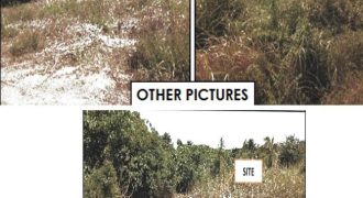 Foreclosed Residential Lot in City Of Cauayan City, Isabela · Lot B-5 (PDIC)