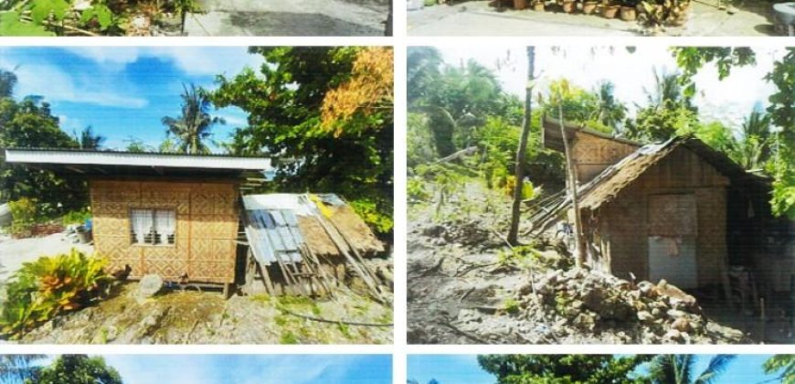 Foreclosed Property in San Fernando City, Cebu · Lot No. 7763 (PDIC)