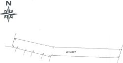 Foreclosed Agricultural Lot in Sto. Niño (Faire), Cagayan · Lot 3207 (PDIC)