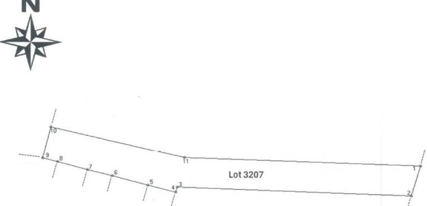 Foreclosed Agricultural Lot in Sto. Niño (Faire), Cagayan · Lot 3207 (PDIC)