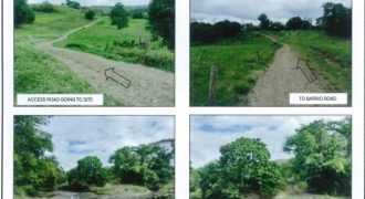 Foreclosed Agricultural Lot in Sto. Niño (Faire), Cagayan · Lot 2432 (PDIC)
