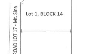 Foreclosed Property in San Jose del Monte City, Bulacan – Pleasant Hills Subdivision · Lot 1 Blk 14 (PDIC)