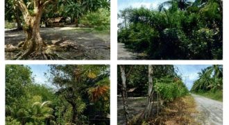 Foreclosed Residential Lot in Pres. Quirino, Sultan Kudarat · Lot 9001-Q (PDIC)
