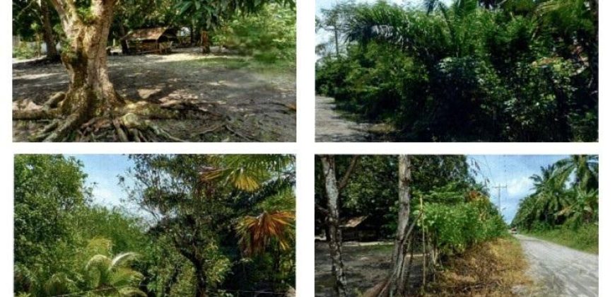 Foreclosed Residential Lot in Pres. Quirino, Sultan Kudarat · Lot 9001-K (PDIC)