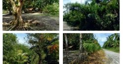 Foreclosed Residential Lot in Pres. Quirino, Sultan Kudarat · Lot 9001-L (PDIC)