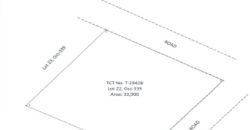 Foreclosed Agricultural Lot in San Luis, Aurora, Luzon