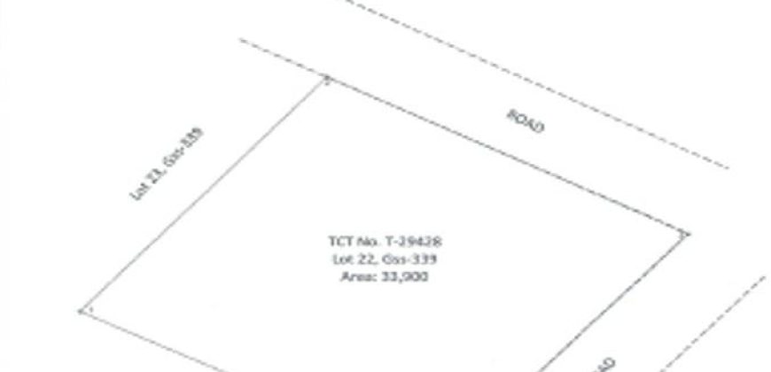 Foreclosed Agricultural Lot in San Luis, Aurora, Luzon
