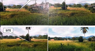 Foreclosed Agricultural Lot in Sofronio Española, Palawan · Lot 9056 (PDIC)