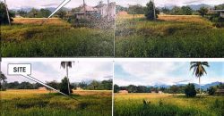 Foreclosed Agricultural Lot in Sofronio Española, Palawan · Lot No. 9059 (PDIC)