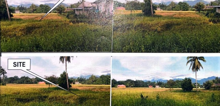 Foreclosed Agricultural Lot in Sofronio Española, Palawan · Lot No. 9059 (PDIC)