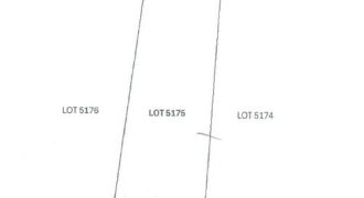 Foreclosed Agricultural Lot in Naguilian, La Union (PDIC)