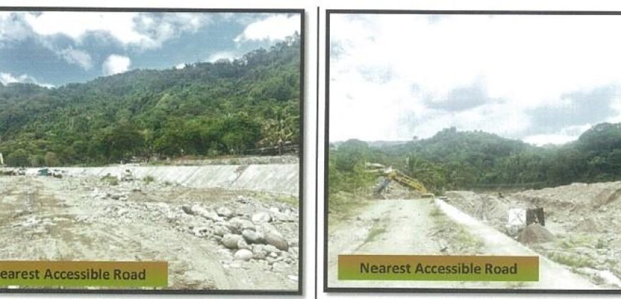 Foreclosed Agricultural Lot in Bagulin, La Union (PDIC)