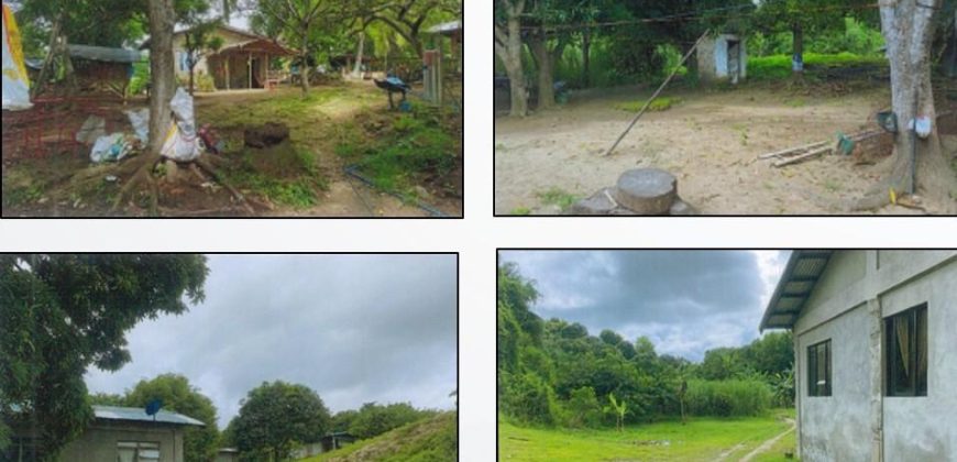Foreclosed Property in Calatagan, Batangas · Lot E-1-B (PDIC)