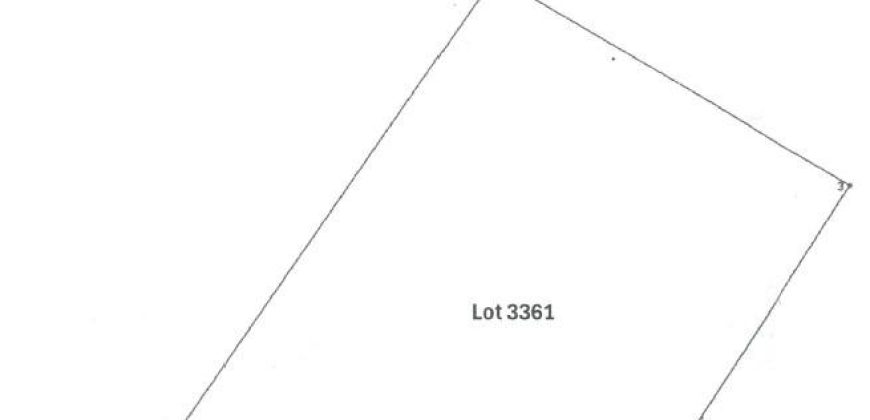 Foreclosed Agricultural Lot in Sto. Niño (Faire), Cagayan · Lot 3361 (PDIC)