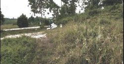Foreclosed Agricultural Lot in City Of Cauayan City, Isabela · Lot 1967-B-1 (PDIC)