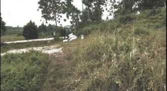 Foreclosed Agricultural Lot in City Of Cauayan City, Isabela · Lot 1967-B-1 (PDIC)