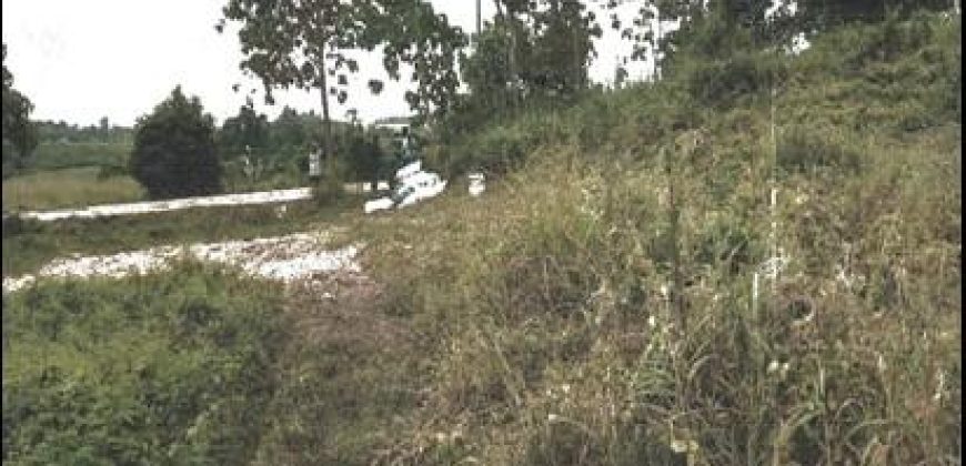 Foreclosed Agricultural Lot in City Of Cauayan City, Isabela · Lot 1967-B-1 (PDIC)