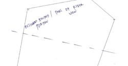 Foreclosed Agricultural Lot in San Jose, Tarlac · Lot 5470 (PDIC)