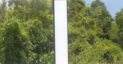 Foreclosed Agricultural Lot in Argao, Cebu · Lot No. 11493 (PDIC)