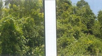 Foreclosed Agricultural Lot in Argao, Cebu · Lot No. 11493 (PDIC)