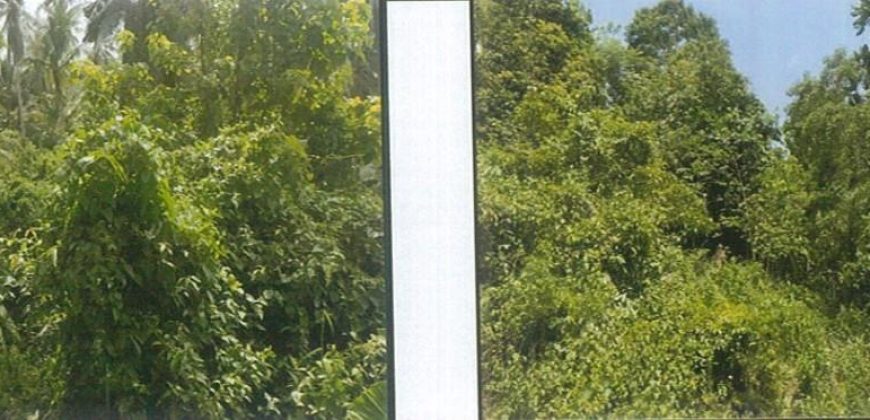 Foreclosed Agricultural Lot in Argao, Cebu · Lot No. 11493 (PDIC)