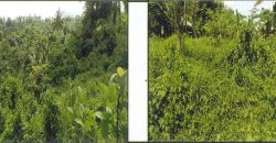 Foreclosed Agricultural Lot in Cebu City