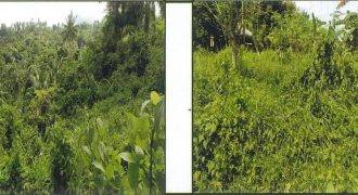 Foreclosed Agricultural Lot in Cebu City