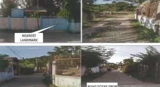 Foreclosed Agricultural Lot in Bauang, La Union (PDIC)