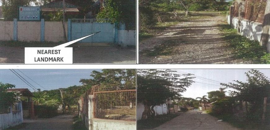 Foreclosed Agricultural Lot in Bauang, La Union (PDIC)