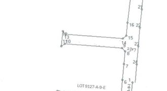 Foreclosed Agricultural Lot in Sta Ignacia, Tarlac · Lot 9127-A-9-G (PDIC)