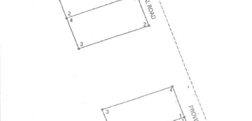 Foreclosed Residential Lot in Tarlac – Carague St. · Lot 15 (PDIC)