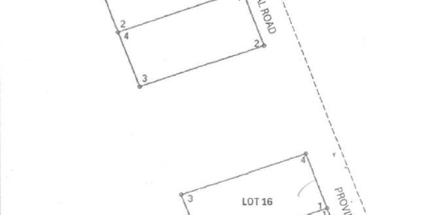 Foreclosed Residential Lot in Tarlac – Carague St. · Lot 16 (PDIC)