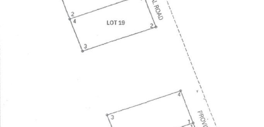 Foreclosed Residential Lot in Tarlac – Carague St. · Lot 19 (PDIC)