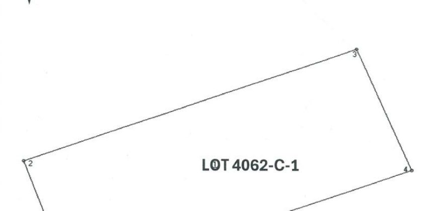 Foreclosed Residential Lot in Paniqui, Tarlac (PDIC)