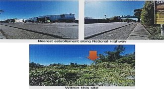 Foreclosed Residential Lot in Cabanatuan City