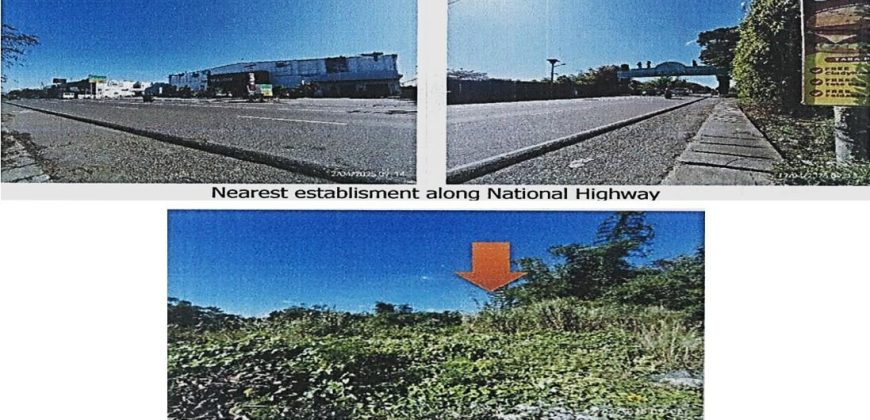 Foreclosed Residential Lot in Cabanatuan City, Nueva Ecija (PDIC)
