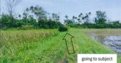 Foreclosed Agricultural Lot in Sanchez- Mira, Cagayan (PDIC)