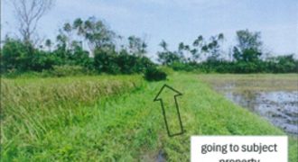 Foreclosed Agricultural Lot in Sanchez-Mira, Cagayan