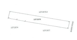 Foreclosed Agricultural Lot in Bacnotan, La Union · Lot 3676 (PDIC)