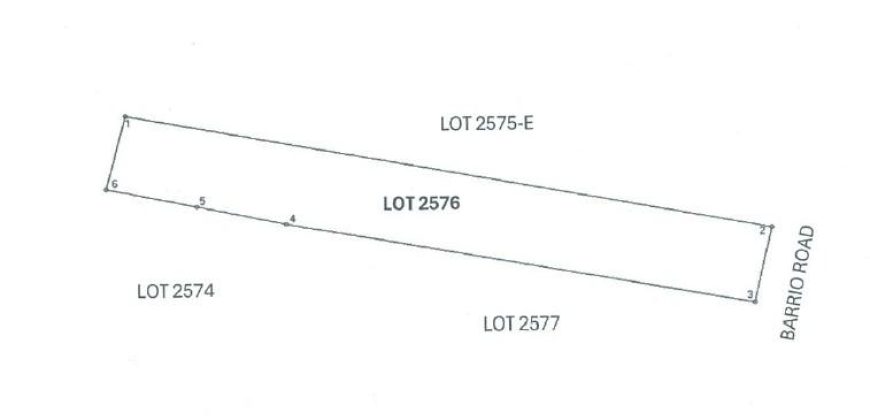 Foreclosed Agricultural Lot in Bacnotan, La Union · Lot 3676 (PDIC)