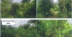 Foreclosed Agricultural Lot in Sofronio Española, Palawan · Lot 101 (PDIC)